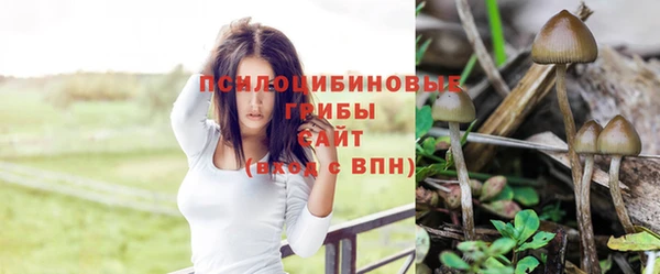 МДМА Каменка