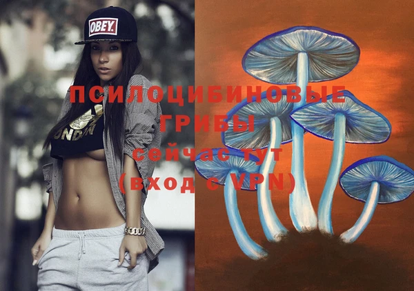 МДМА Каменка